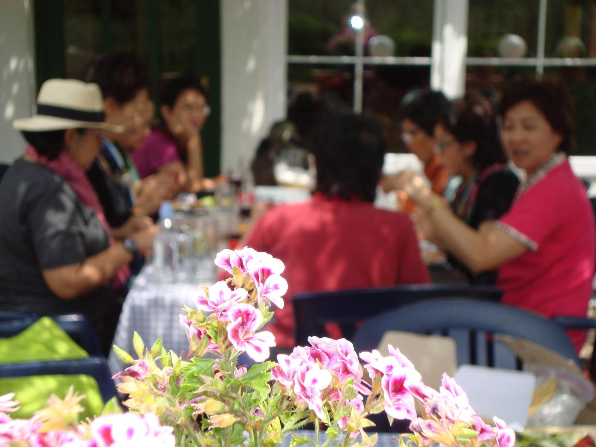 Vulinka Pension Hotel Drage Ngoại thất bức ảnh